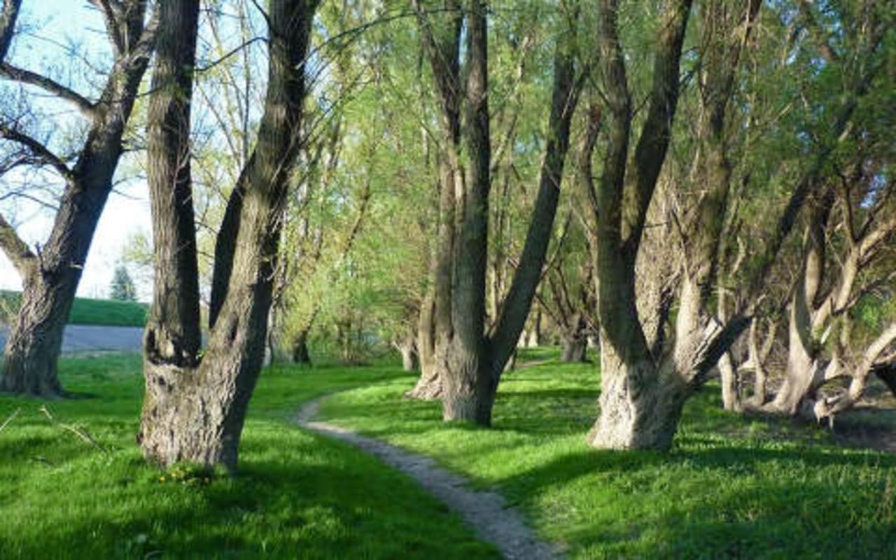 Pálma Apartmanok szálláshely Százhalombatta 6a Esterno foto